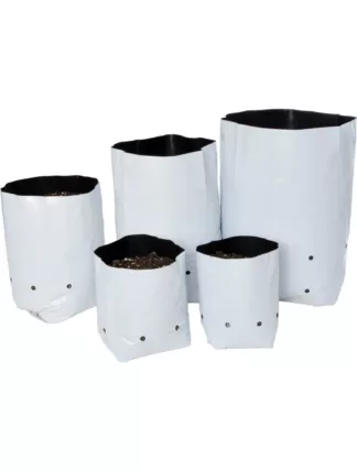 Bolsa de Cultivo Blanca 31 x 14 cm (50 uds) VDL