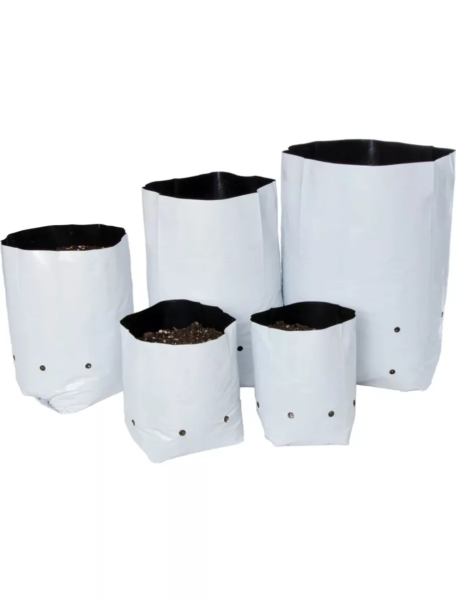 Bolsa de Cultivo Blanca 31 x 14 cm (50 uds) VDL