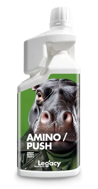 Aminopush Legacy: Complejo de Aminoácidos Veganos