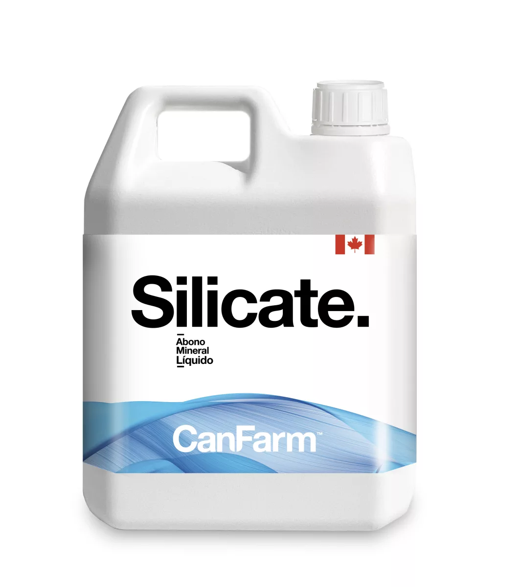 Silicate 25% Can Farm: Nutriente Esencial para Jardines Verticales