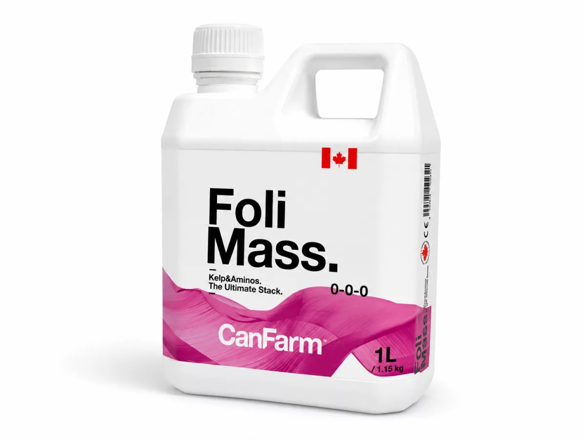 FoliMass – Can Farm - Imagen 2