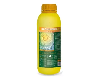 Bachumus Evolution F – Estimulador Orgánico para Fase Reproductiva