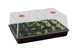 Propagador Grande Garland (58 x 40 x 22,5 cm) para Enraizamiento de Esquejes