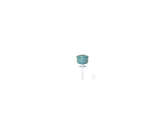Accesorios Bomba Rainforest 12V
