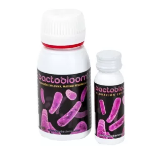 Agrobacterias Bactobloom