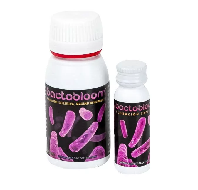 Agrobacterias Bactobloom