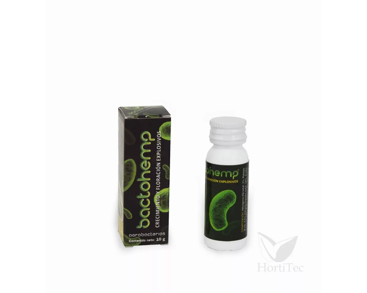 Agrobacterias Bactohemp