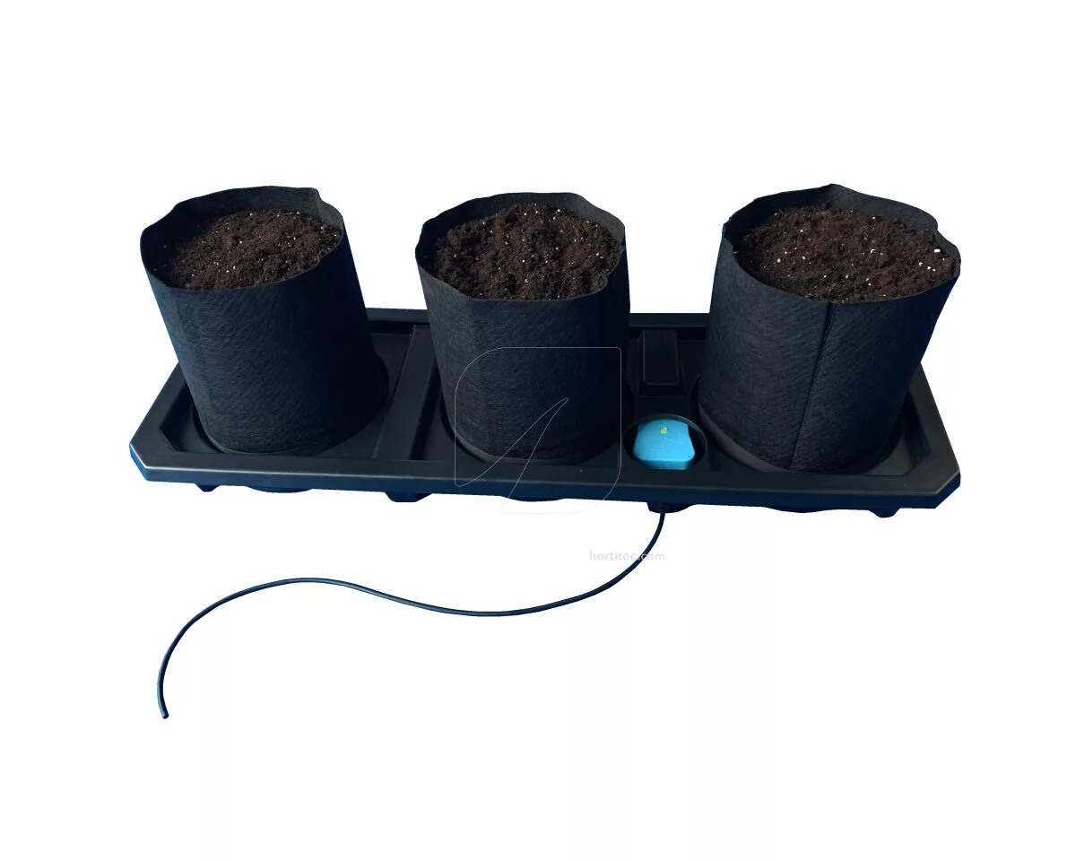Modulo Auto 3XL Smartpot - Imagen 2