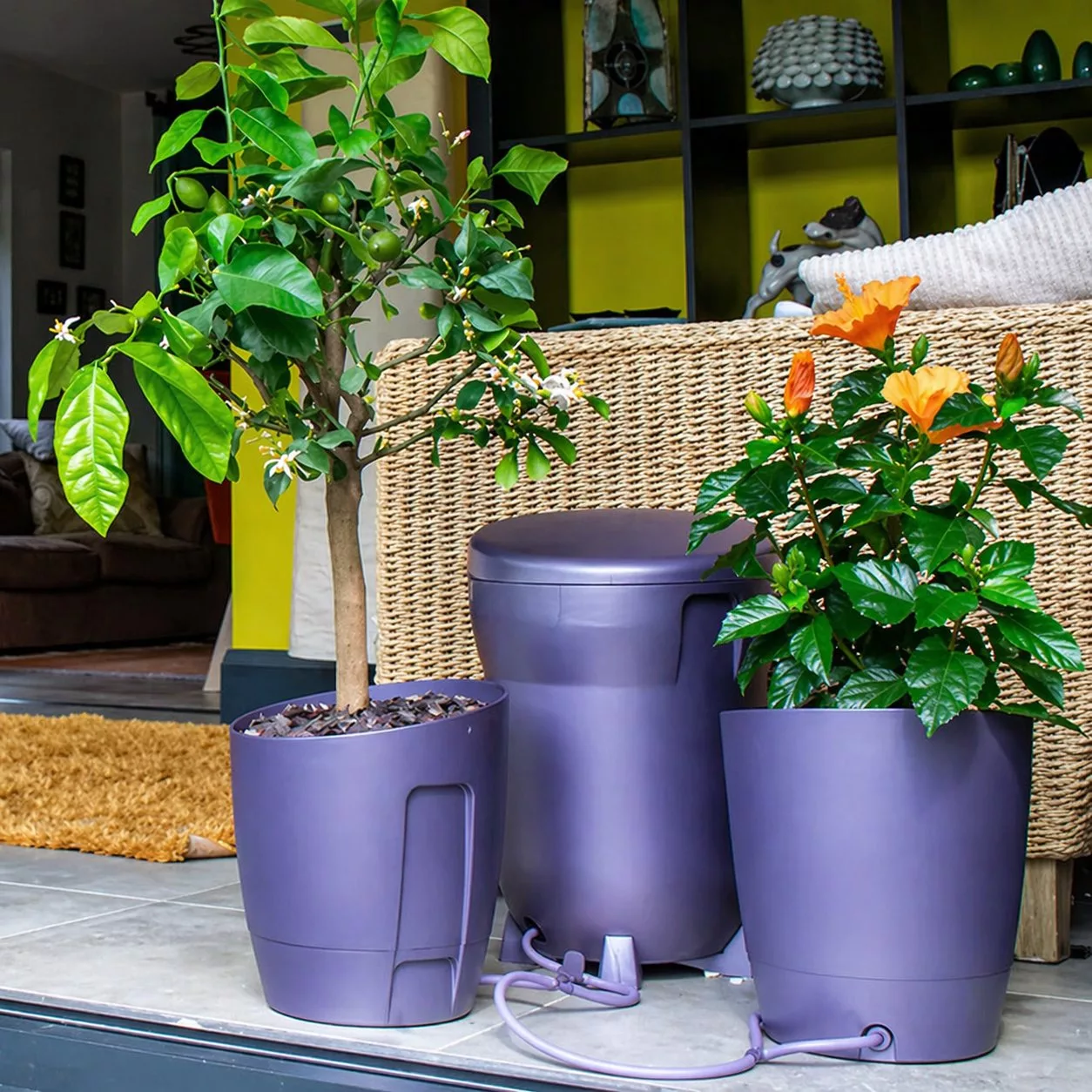 Autopot™ Sistema de riego Khloris- Completo — vista 3