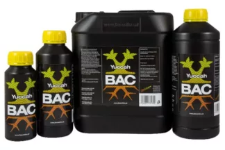 BAC Yuccah 1 L – Yuccah 0.25 L — vista 3