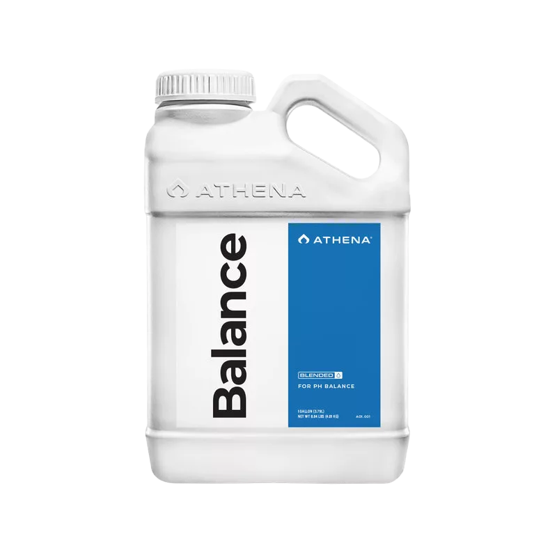 Balance 0,94 L - Estabilizador pH y Silicato de Potasio