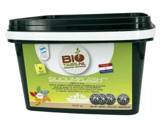 BIOTABS Silicium Flash
