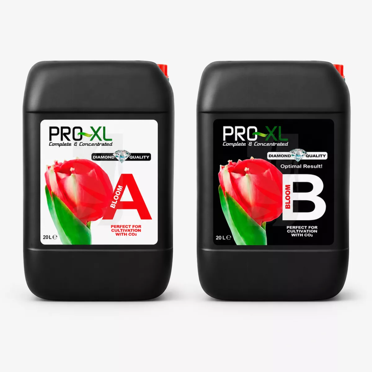 Bloom A+B 1 L – Abono Mineral Concentrado