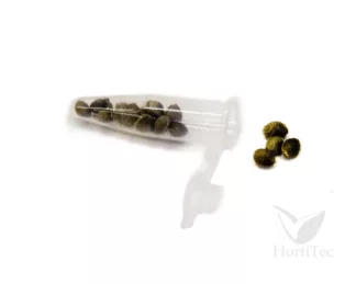 Botes Tubo Eppendorf