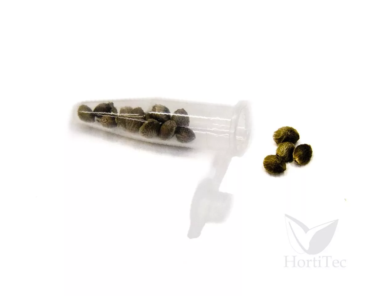 Botes Tubo Eppendorf