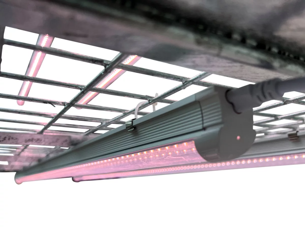 Carro de Propagación VDL: Sistema LED Integrado para Bandejas y Propagadores
