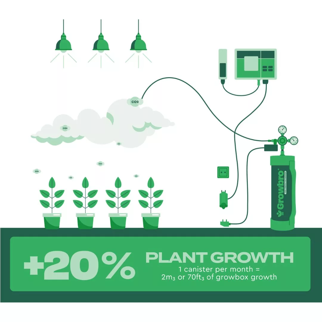CO2 Suministro y Control Botella co2 Growbro