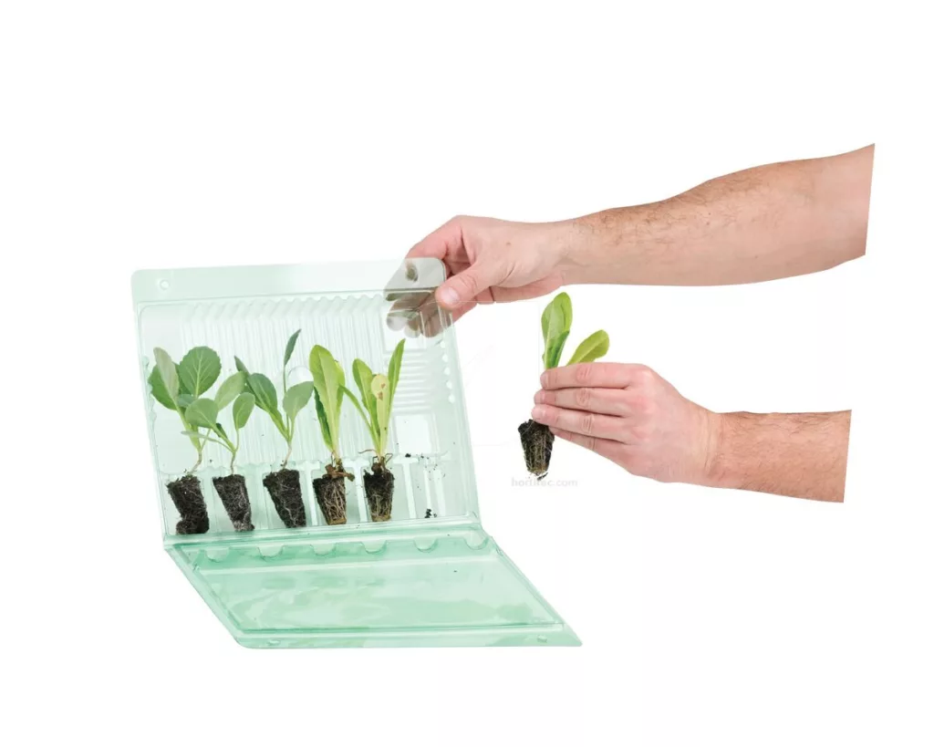 Funda de Transporte Compacta para Esquejes Vegetales (Capacidad 3 uds)