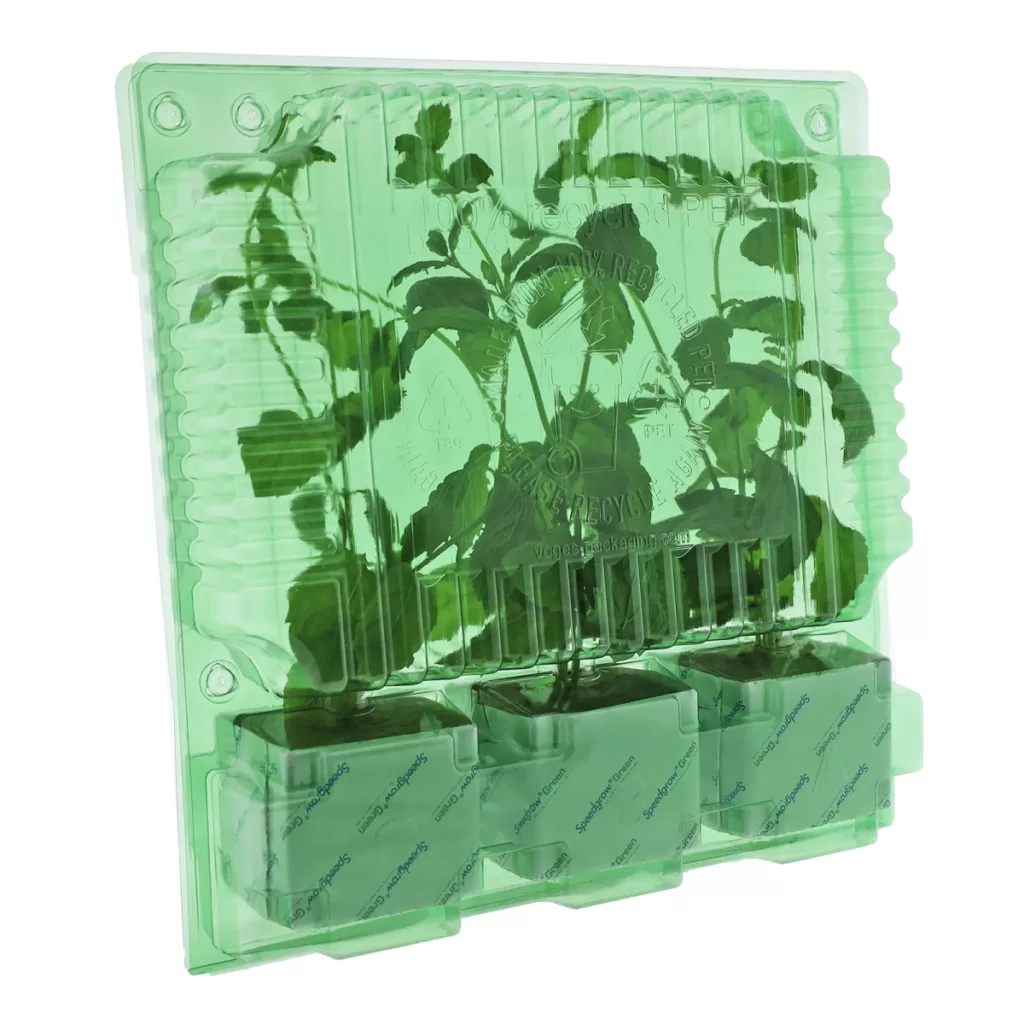 Funda de Transporte Compacta para Esquejes Vegetales (Capacidad 3 uds)