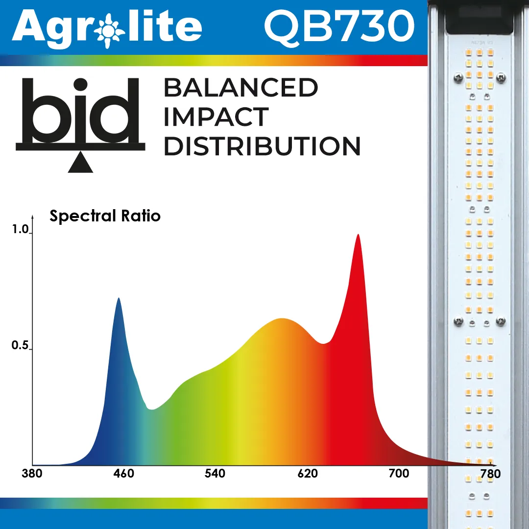 Lámpara LED QB730W 2.9 bid Agrolite - Iluminación para Cultivo - Imagen 4