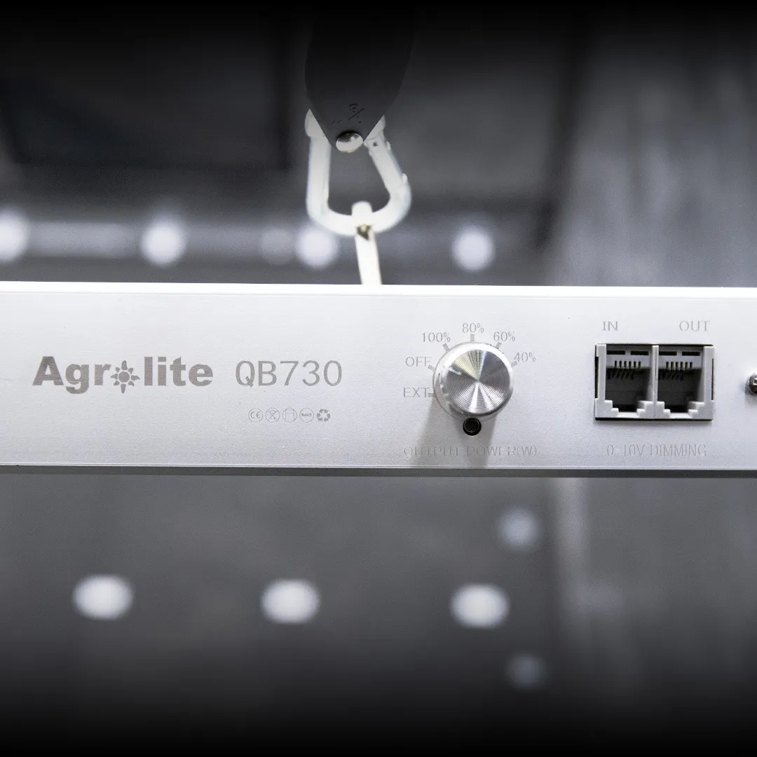 Lámpara LED QB730W 2.9 bid Agrolite - Iluminación para Cultivo - Imagen 5