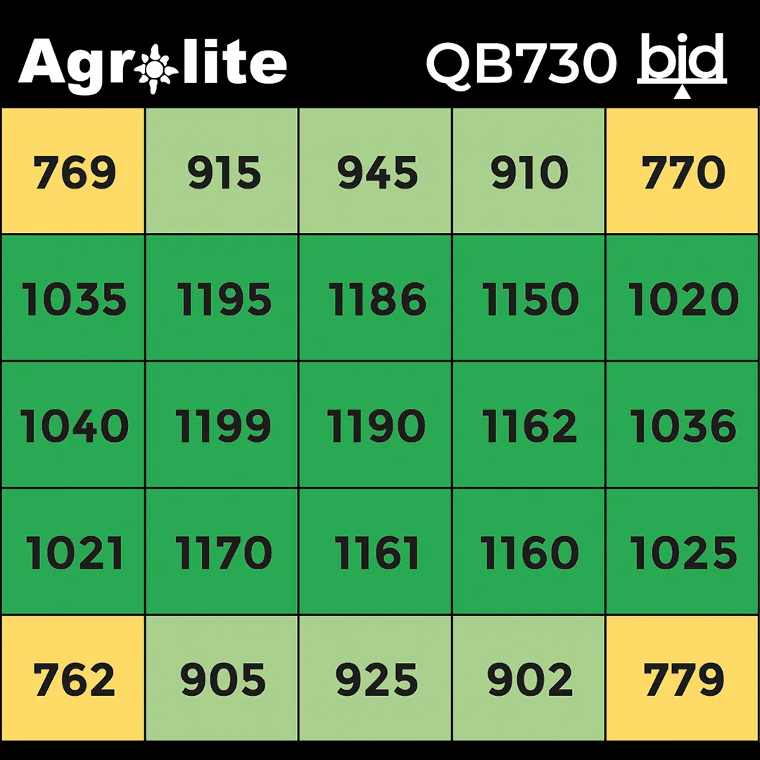 Lámpara LED QB730W 2.9 bid Agrolite - Iluminación para Cultivo - Imagen 6