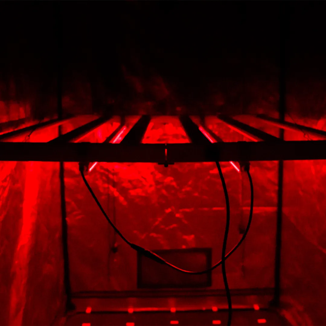 NIR Twins LED 2x22W Agrolite - Barras Suplementarias Infrarrojas - Imagen 5