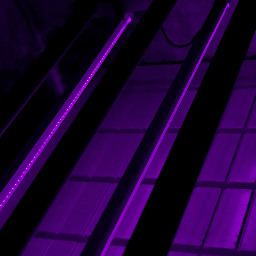 UV Twins LED 2x22W Agrolite - Radiación Ultravioleta Controlada - Imagen 5