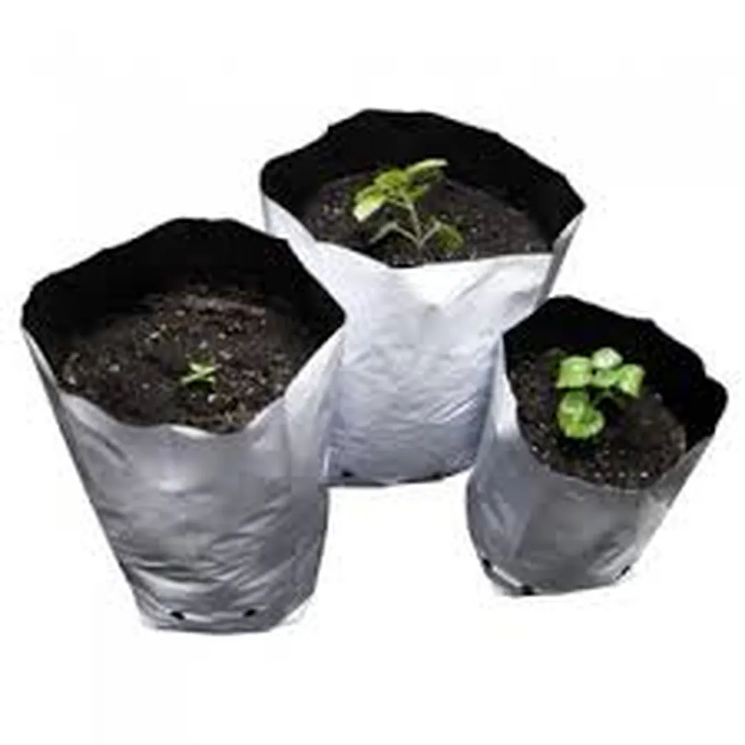 Bolsa de Cultivo Blanca - Neptune Hydroponics