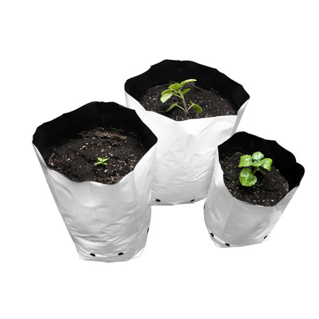 Bolsa de Cultivo Blanca - Neptune Hydroponics - Imagen 2