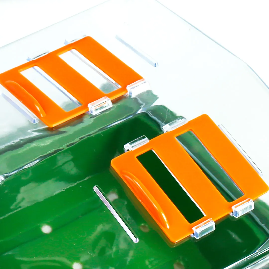 Propagador con Calefacción 38x25x19 Neptune Hydroponics - Imagen 3