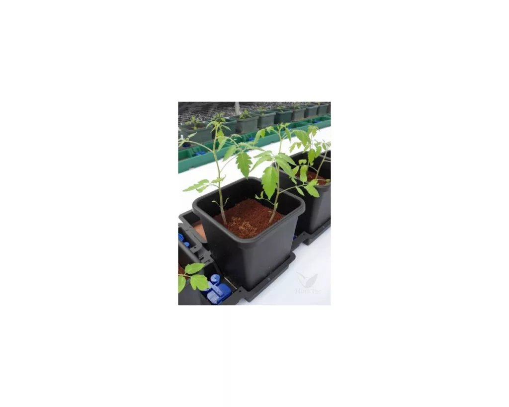Hidroponía y Tierra Sistema 1 Pot System — vista 2