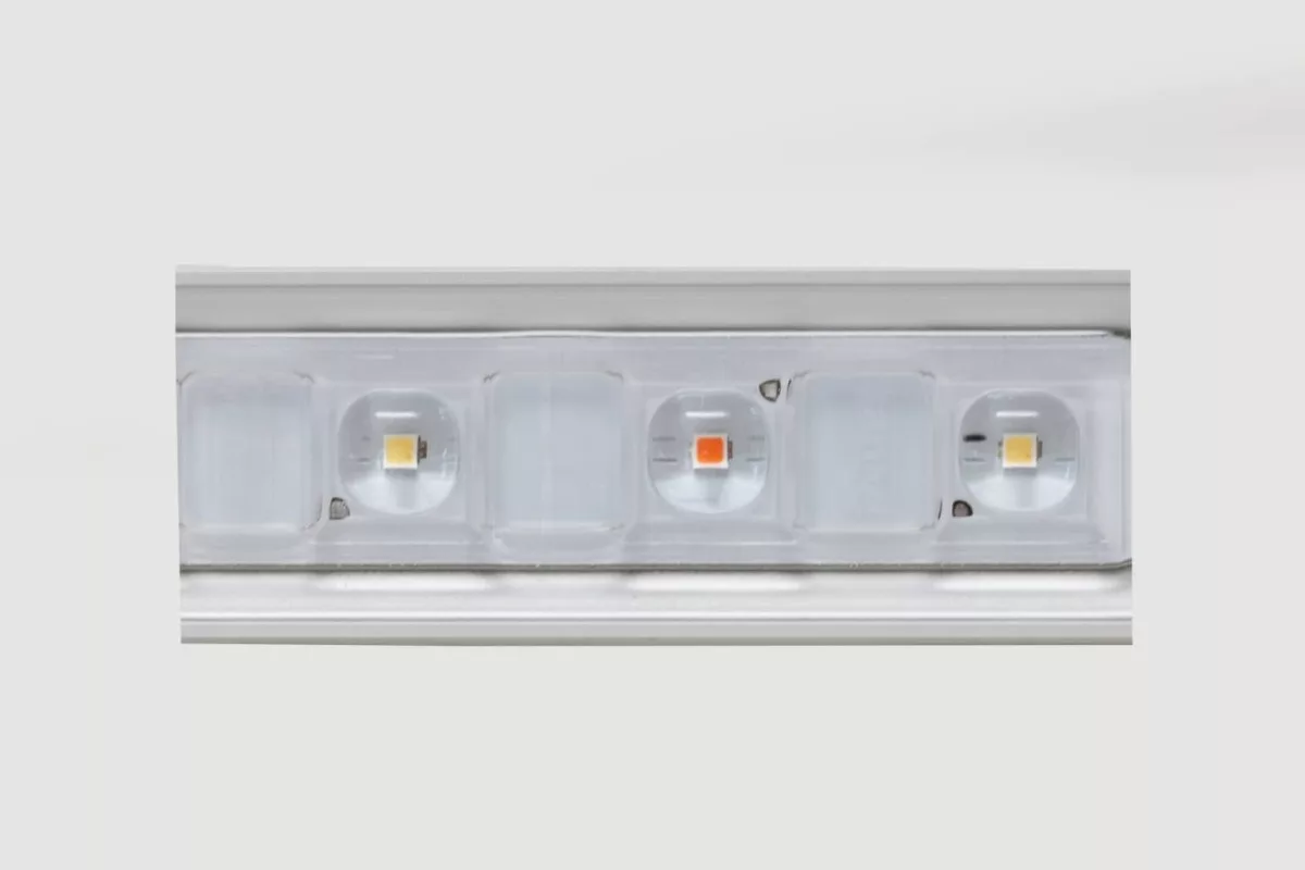 LED Flex 10 - Iluminación LED Compacta y Potente