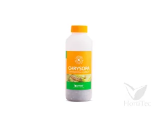 Lucha Biológica Chrysopa 1000 (pulgon)