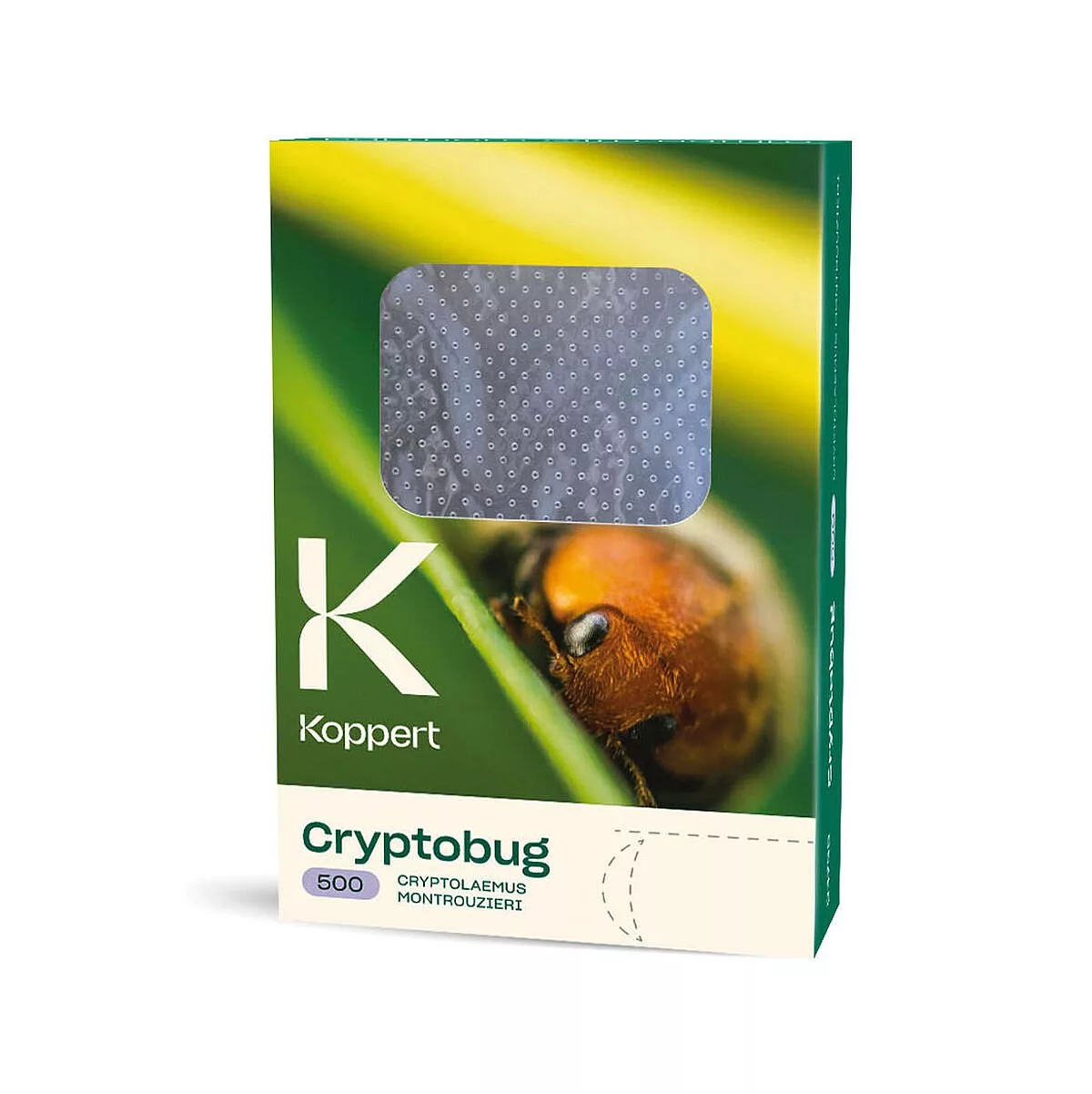 Lucha Biológica Cryptobug 500 Koppert