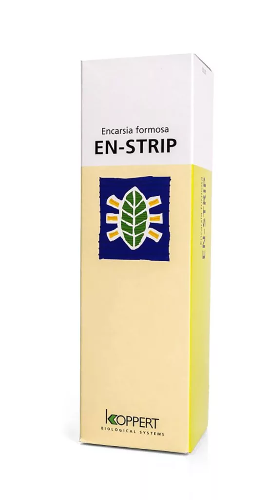 Lucha Biológica En-strip 3000 (Encarsia Formosa) (Mosca Blanca) — vista 2