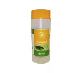 Lucha Biológica Thripor-M 100 ml Koppert
