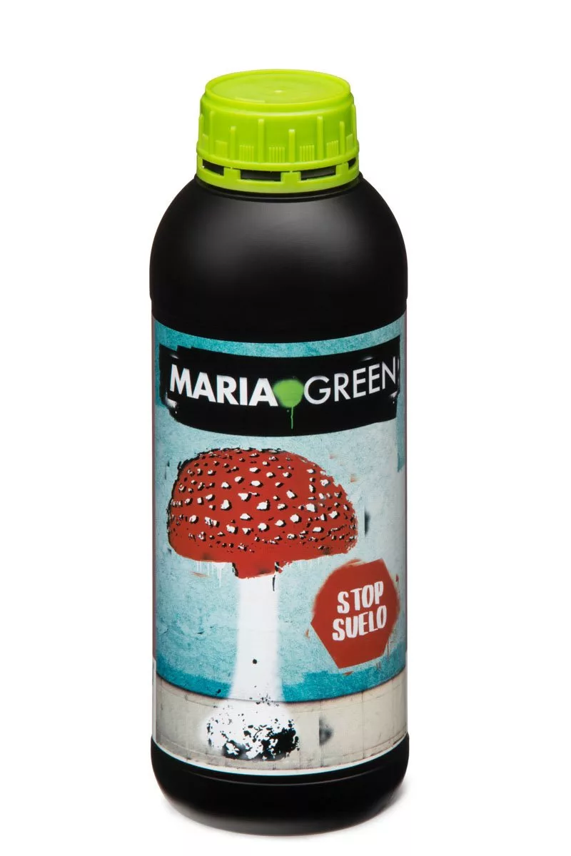 Guardian Maria Green