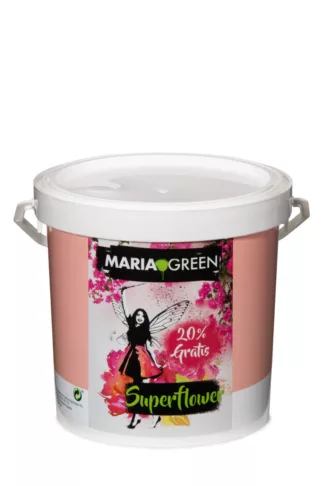 Superflower Maria Green