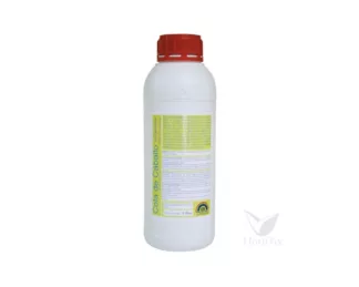 Nutrientes, Trabe Ekisan Cola de Caballo