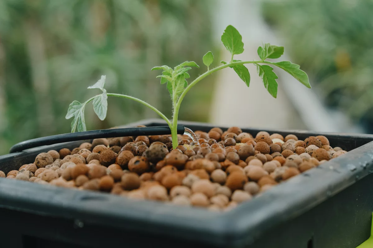 Replant Maceta Cuadrada - Contenedor Inteligente Todo en Uno
