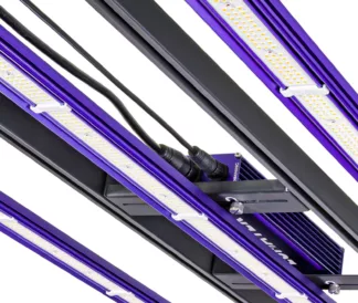 Sistemas de LEDs Sistema Led Zeus 300 W Pro 3.1 Lumatek