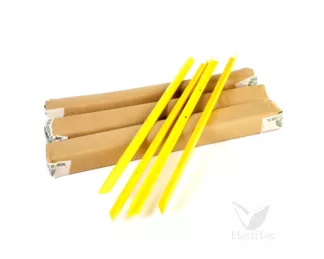 Trampas Tutor Trampa