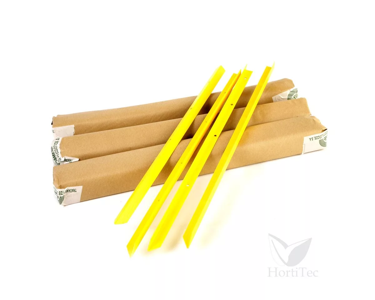 Trampas Tutor Trampa