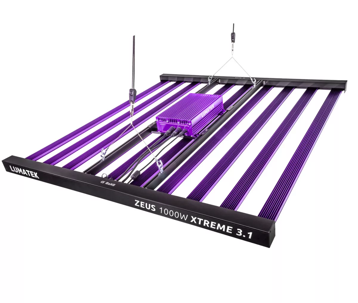 Sistema LED Zeus 600 W pro 3.1 - Imagen 11