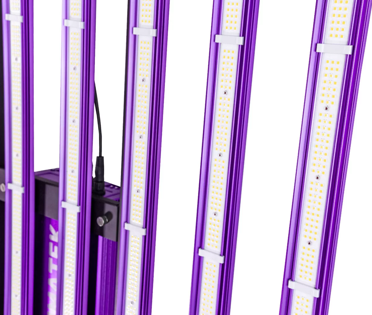 Sistema LED Zeus 600 W pro 3.1 - Imagen 12