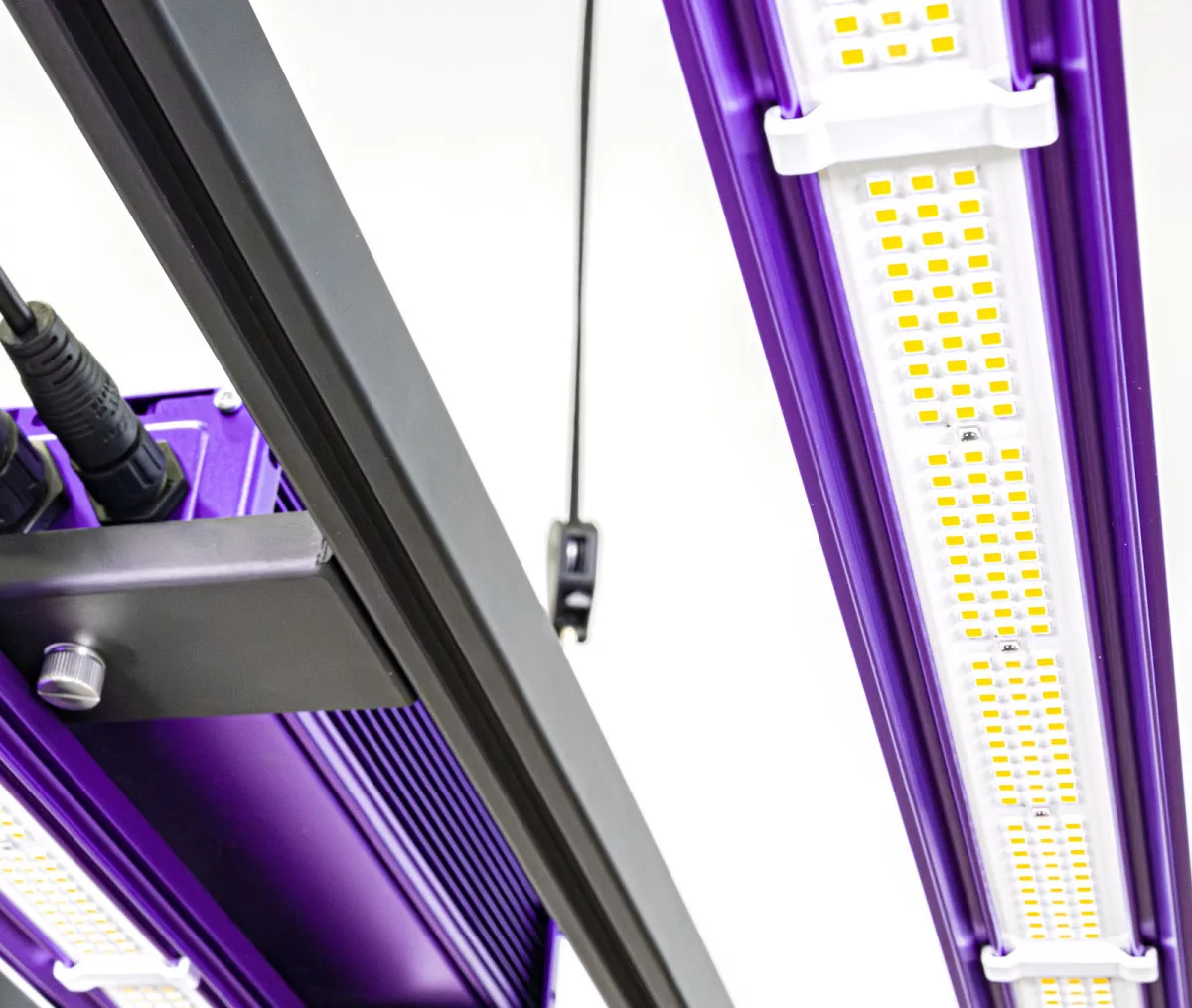 Sistema LED Zeus 600 W pro 3.1 - Imagen 7