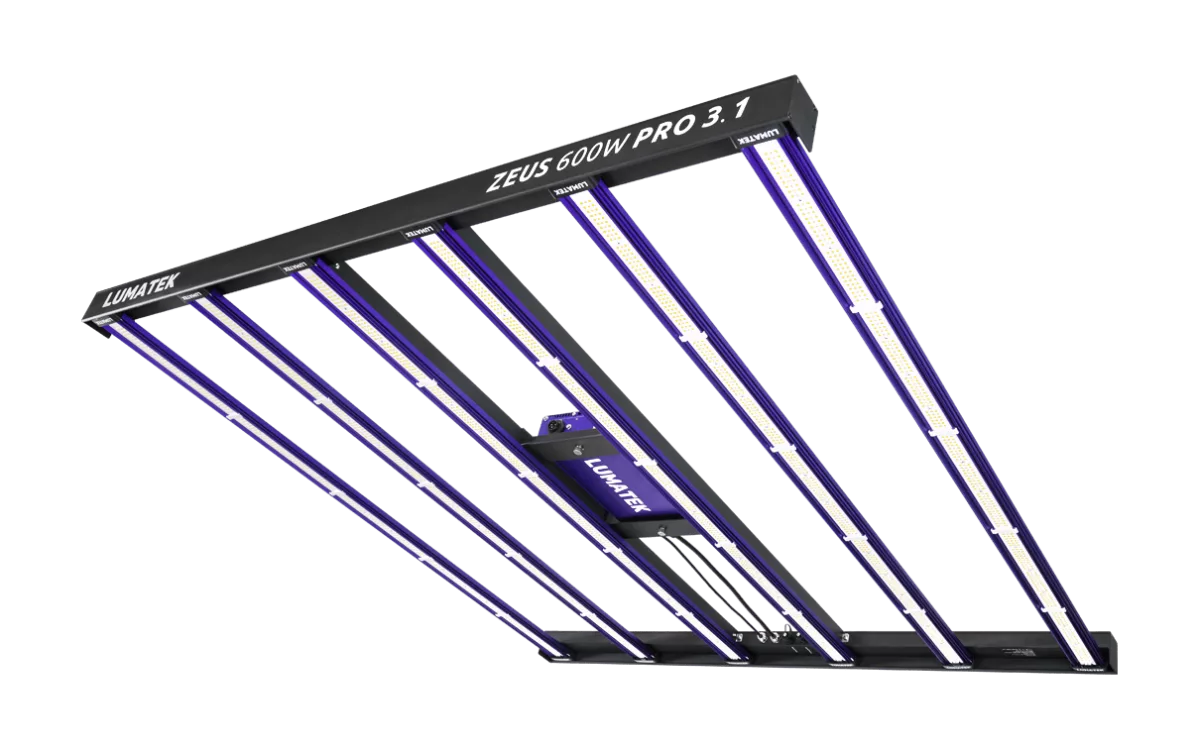 Sistema LED Zeus 600 W pro 3.1