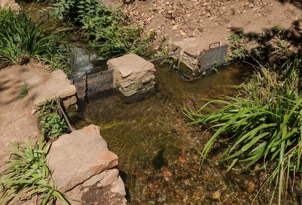 Revisión de un riego por goteo para ahorrar agua en el jardín