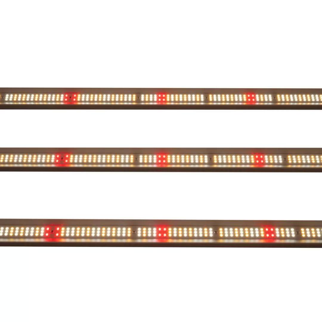 Sistema LED Aura Pro 1000w - Imagen 4